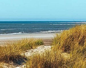 Guest house 114019 - Holiday property Belgian Coast - Studio | 2p