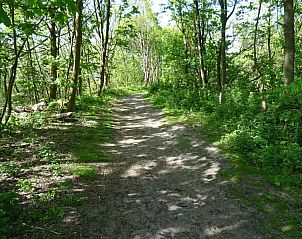 Information leaflet about the Duinbossen of De Haan, near De Haan Cottage 670, vacation home in Belgium.