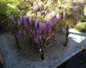 Verblijf 1150201 - Bed and breakfast Oost-Vlaanderen - B&B Wisteria