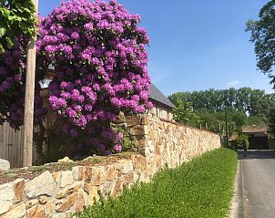 Verblijf 1150201 - Bed and breakfast Oost-Vlaanderen - B&B Wisteria