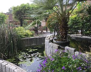 Verblijf 1150201 - Bed and breakfast Oost-Vlaanderen - B&B Wisteria
