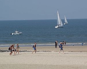 Guest house 115302 - Holiday property Belgian Coast - la Cabane