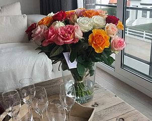 Verblijf 117807 - Appartement Belgische kust - Cosy Cottage Knokke