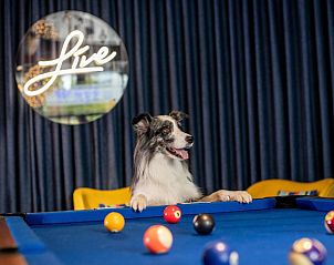 Verblijf 1212179 - Vakantie appartement Regio Brussel - Aloft Brussels Schuman