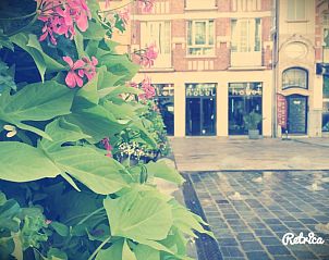 Verblijf 1212350 - Vakantie appartement Regio Brussel - Hotel Aviation