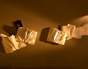 Guest house 121249 - Apartment Brussels Region - Hotel The Neufchatel