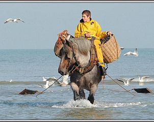 Guest house 131107 - Apartment Belgian Coast - Residentie Gaudi