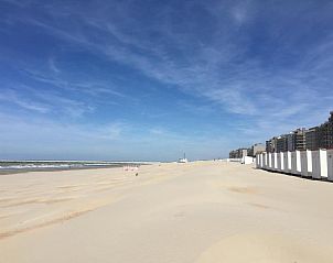 Guest house 131145 - Apartment Belgian Coast - Sleep at Sea