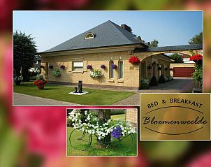 Guest house 140110 • Bed and Breakfast West Flanders • B&B Bloemenweelde 