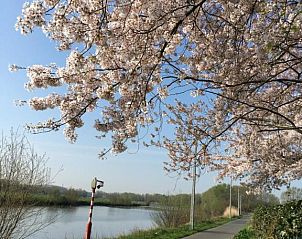 Verblijf 140130 - Bed and breakfast West-Vlaanderen - B&B The View Bis