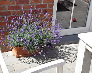 Verblijf 1710101 - Bed and breakfast West-Vlaanderen - B&B Pierre-Marie
