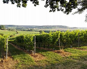 Unterkunft 1960601 - Appartement Limburg - Hotel Restaurant The Kings Head Inn