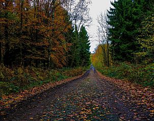 Unterkunft 1960601 - Appartement Limburg - Hotel Restaurant The Kings Head Inn