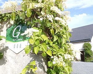 Unterkunft 3270902 - Ferienhaus Luxemburg - Gites-Clairiere-Ardenne