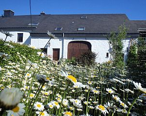 Unterkunft 3270902 - Ferienhaus Luxemburg - Gites-Clairiere-Ardenne