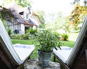 Guest house 340616 - Bed and Breakfast Liege - B&B Le Bois Dormant