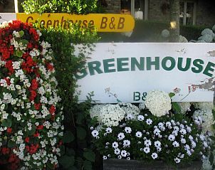 Verblijf 370101 - Bed and breakfast West-Vlaanderen - B&B Greenhouse 37