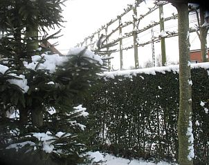 Verblijf 370101 - Bed and breakfast West-Vlaanderen - B&B Greenhouse 37