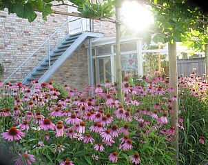 Verblijf 370101 - Bed and breakfast West-Vlaanderen - B&B Greenhouse 37