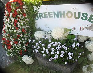 Verblijf 370101 - Bed and breakfast West-Vlaanderen - B&B Greenhouse 37