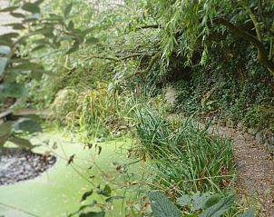 Verblijf 370702 - Bed and breakfast Henegouwen - B&B Aquavert & Wellness