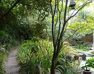 Verblijf 370702 - Bed and breakfast Henegouwen - B&B Aquavert & Wellness